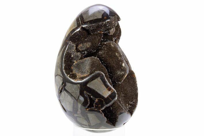 Septarian Dragon Egg Geode - Black Crystals #305799